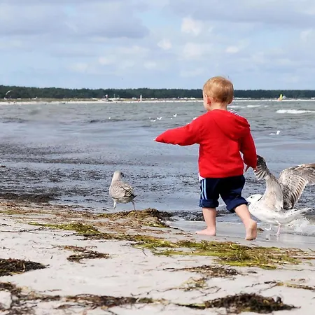 Ostseeanker - Stilvolles In Strandnaehe *